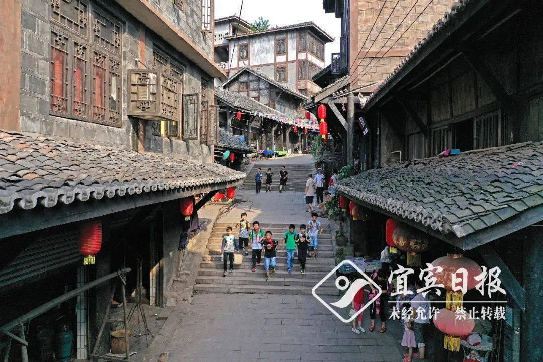救援可爱的洋葱