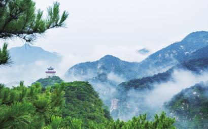 薛春艳观察丨沉浸式IP场景的吸引力法则